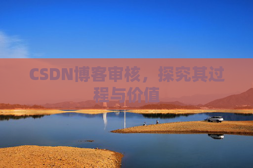 CSDN博客审核，探究其过程与价值